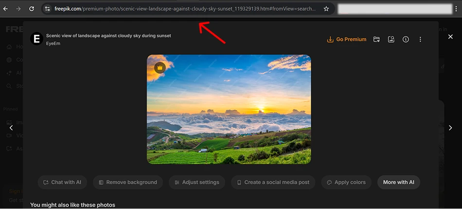freepik-downloader